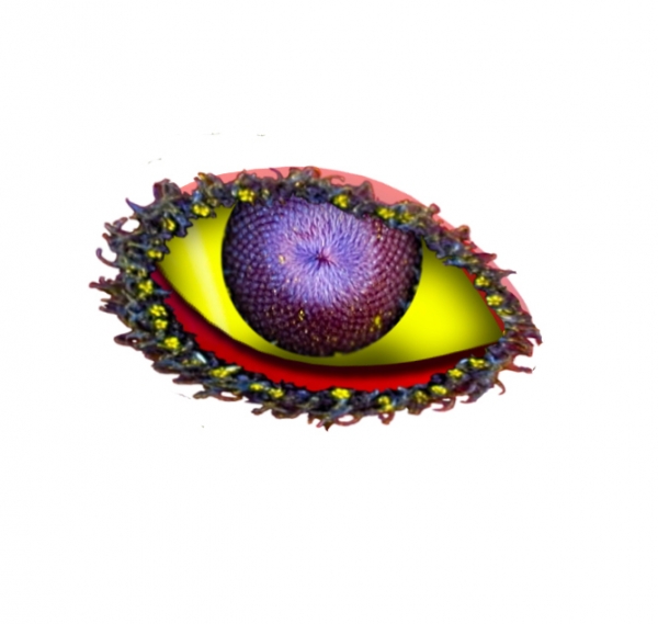 Creation of eye of the flower: Step 4